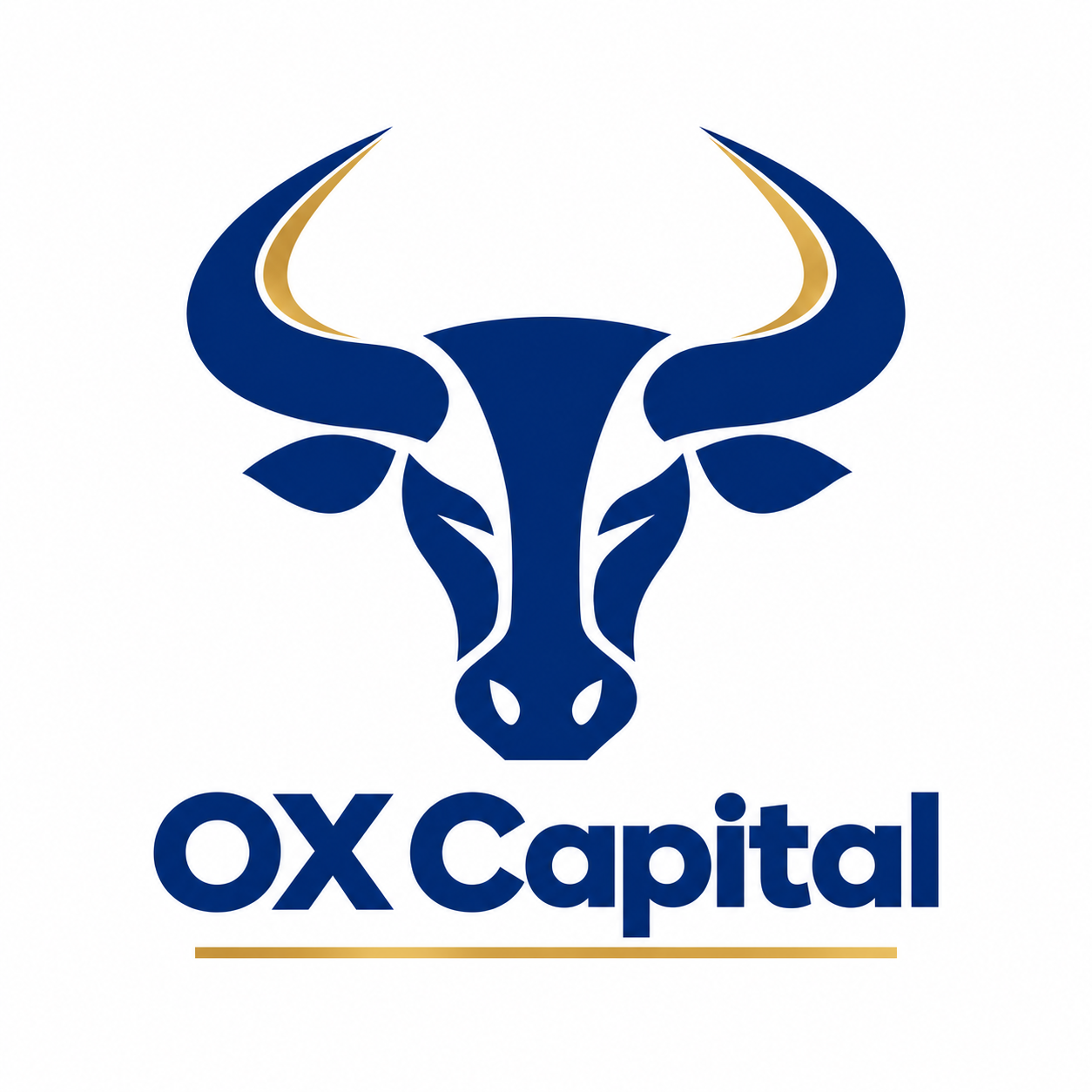 OX Capital logo